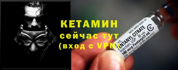 гидра Абаза