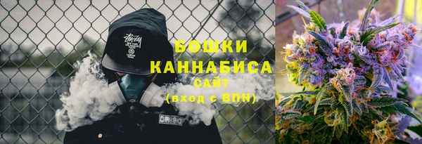 гидра Абаза