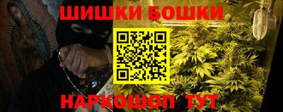трава Гатчина