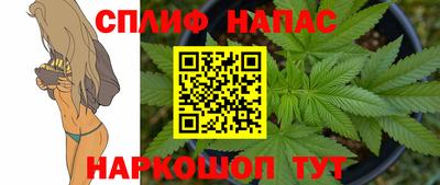 трава Гатчина