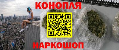 трава Гатчина
