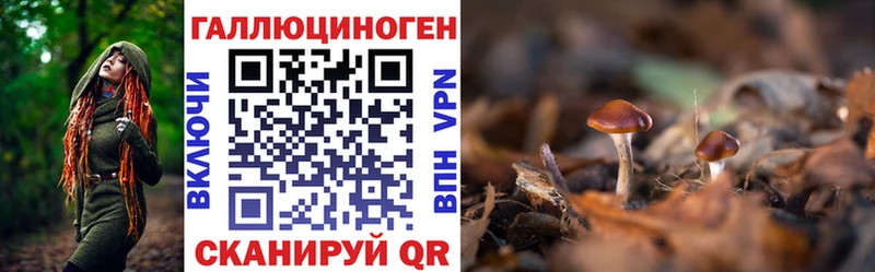 Псилоцибиновые грибы мицелий  Саранск 