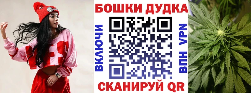 наркотики  Саранск  Канабис SATIVA & INDICA 